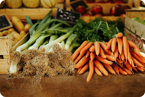 Sustainable Crop Rotation Techniques